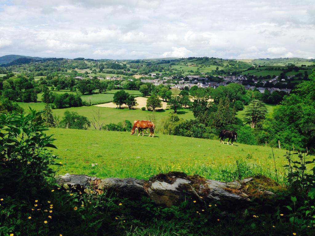 The Eagles Hotel Llanrwst Zewnętrze zdjęcie